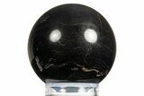 Polished Black Petrified Palm Wood Sphere - Indonesia #311751-1